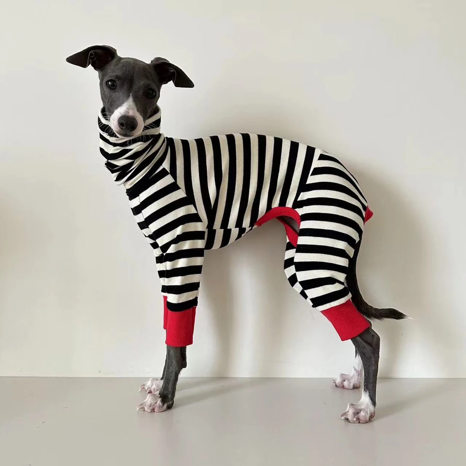 Taliansky greyhound pruhovaný štvornohý oblečenie mäkké pružné odevy Whippet Winter Warm Dog Clothing