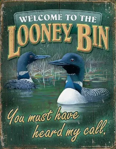 Tin Sign - Vitajte v Looney Bin