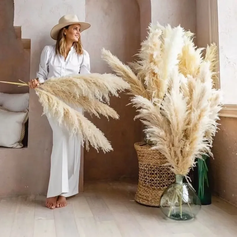 Veľkoobchod boho svadobné dekorácie 80 cm veľké oblaky suché našuchorené pampas tráva prírodné skutočné konzervované kvetinové fleur