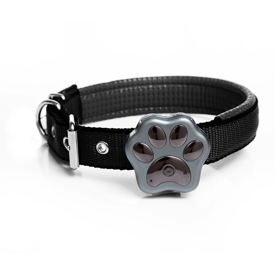 Veľkoobchod Hot Predaj multifunkčného vodotesného domáceho maznáčika mačka 3G GPS Tracker Collar RYDV40