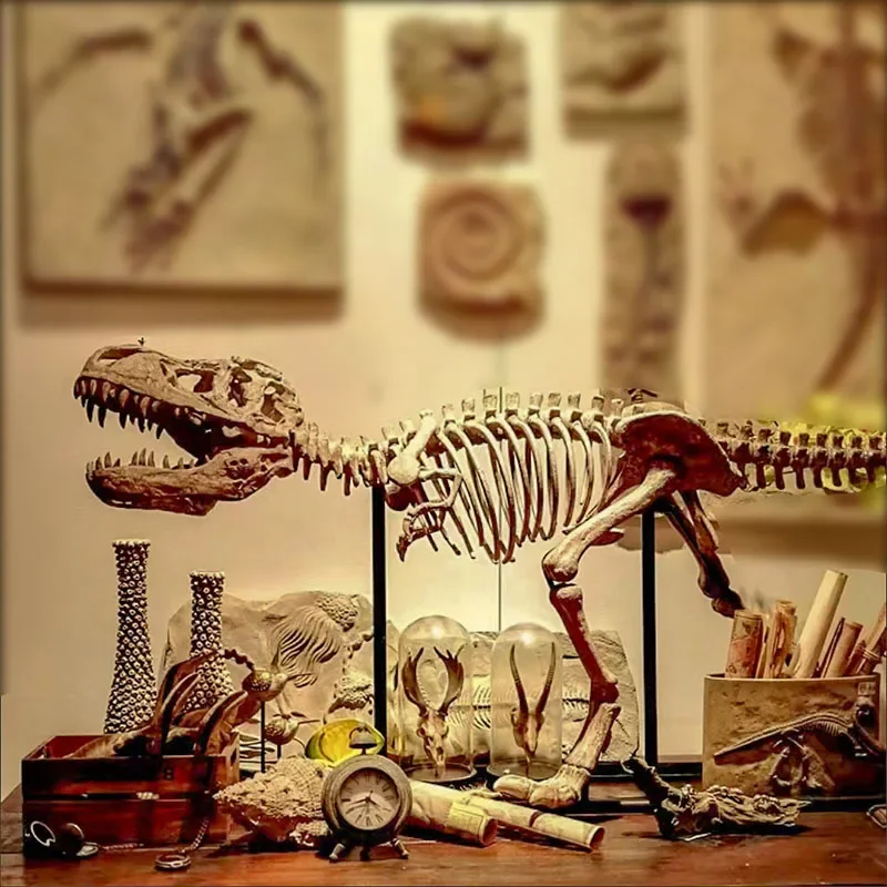 Veľké dinosaurové kostrové hračky Simulácia simulácie T-Rex Body Model Jurass DIY Zhromaždené parkové svetové dino fosílne hračky pre darčeky chlapcov