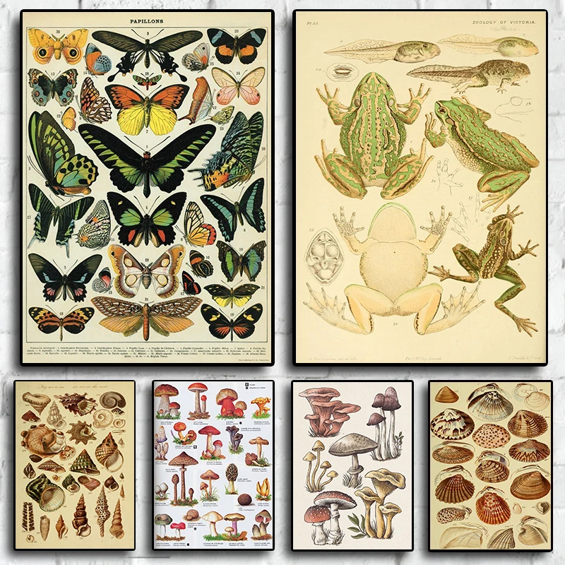Vintage motýle včely plagáty botanické huby zvierat pre deti spálne maľba interiér plagát nástenné umenie