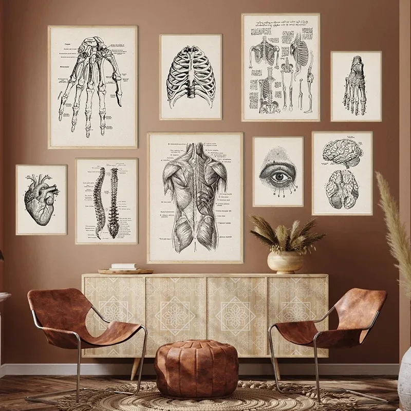 Vintage ľudská anatómia umelecké dielo Medical Wall Picture Svalová kostra plagát plagát Canvas Art tlač