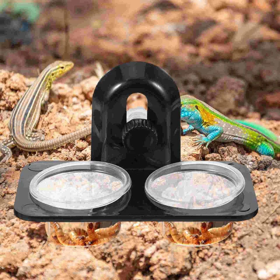 Voda a potravinová misa na kŕmenie plazov a potravinových nádob na kŕmenie dodávok pre jaštericu korytnačku gecko Scorpion (typ skrutky)