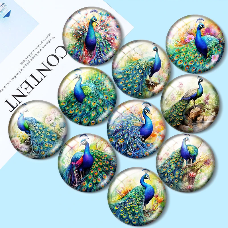 Vodný páv vtákom 12 mm/18 mm/20 mm/25 mm okrúhly fotografický sklenený demo demo plochý chrbát