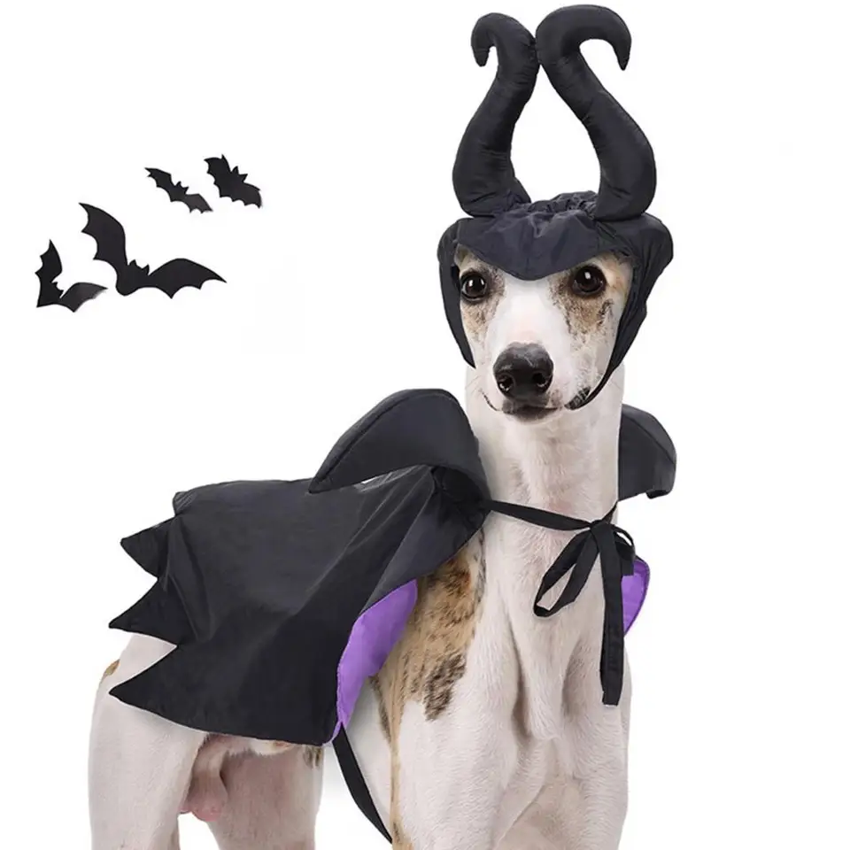 Vtipné trojrozmerné kostýmy domácich miláčikov Halloween Pet kostým sada čarodejnícke oblečenie pre psov mačky vtipné na Halloween na Vianoce