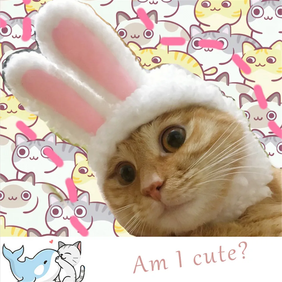 Vtipné veľkonočné mačky kostým Veľkonočné domáce zvieratá Bunny Bunny Warm Rabbit Hat s ušami pre mačky a malé psy Pets Pets