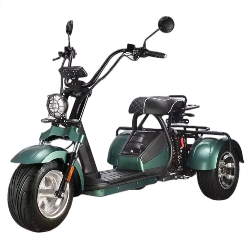 Výkonný veľkoobchod s 2000 W 10 palcov 3 kolesá s priemerom motorového motora Vodotesný elektrický skúter EEC EEC