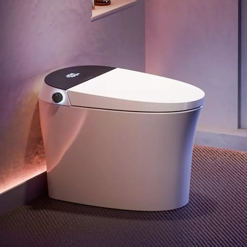 WC s inteligentným bidetom s LED nočným svetlom na nočné svetlo senzora čerpadla s podporou splachovanej teplej vody zohrievaná sušička sušiča z nehrdzavejúcej ocele