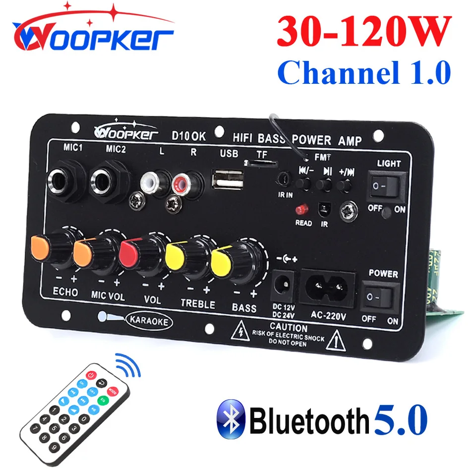 Woopker D10 Bluetooth Audio zosilňovacia doska 120W Subwoofer Duálny mikrofónový AMP modul pre 4 ohm 8-12 v reproduktore 12/24V 100-240V