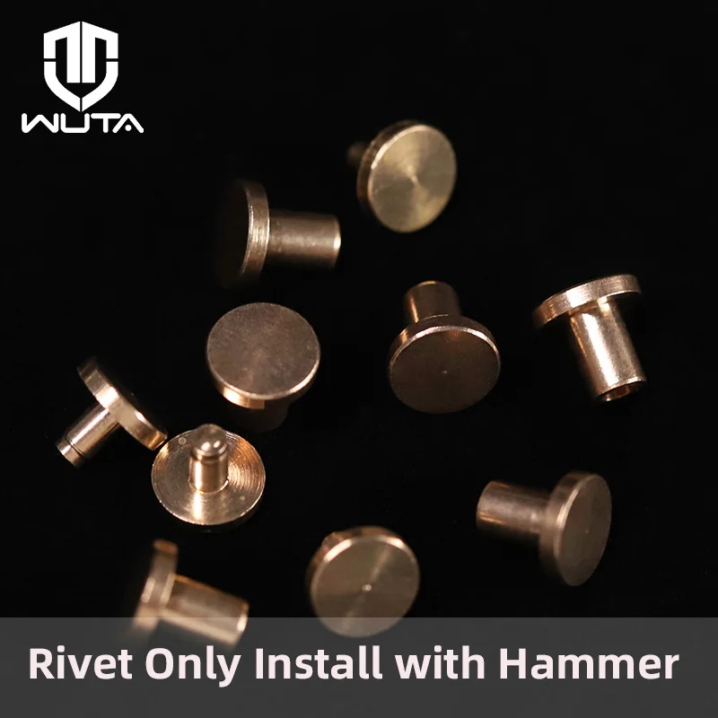 Wuta 10 Set Solid Brass Plat Head Nit Nit