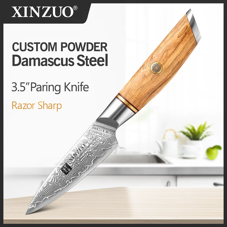 Xinzuo 3,5 '' v nože na poslanci 73 Layer Damascus Steel Damascus oceľový nôž nôž vg10 rastlinný ovocný nôž s prémiovou rukoväťou
