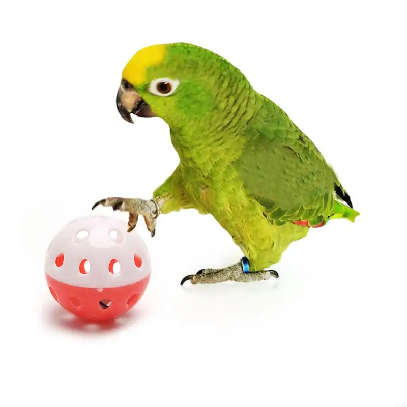Y5JC 1 PC Bird Parrots hračky Hračka farebná hračka Rolling Sphere Hray na obohatenie hračiek Klietky Klietky pre stredne veľké vtáky
