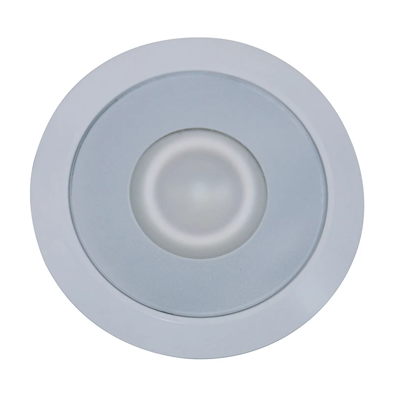 Zapínanie/vypínanie Farba 8W RGBW Farba IP67 KAPEROVANÁ SAUNA Strop karavan RV Yacht Ship Interior LED DOWN Svetlo