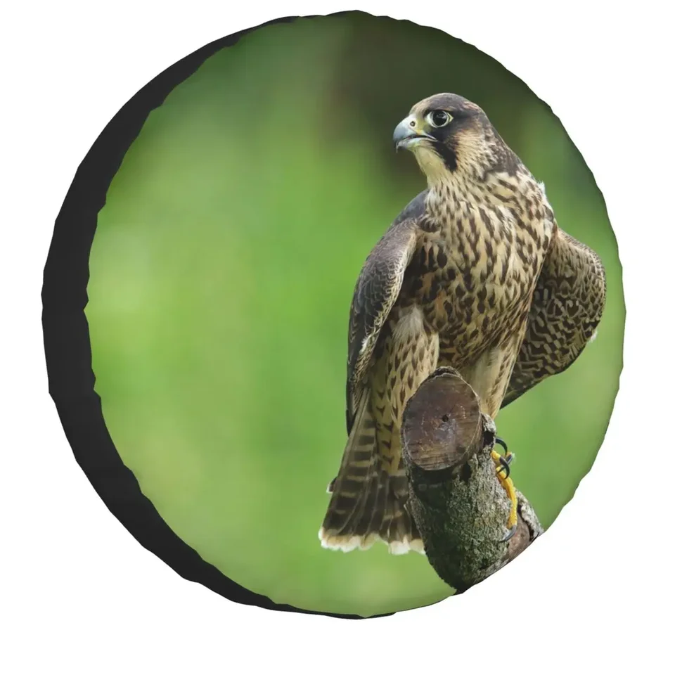 Zábavný sfalcinový kryt pneumatík Falcine Falcin Falcon Plave Pneuma