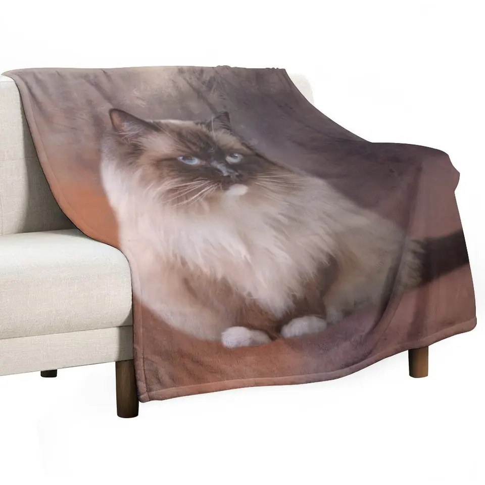 Čokoládová ragdoll mačka 01 hodí prikrývky Hairys mäkké veľké dekoratívy vážené prikrývky