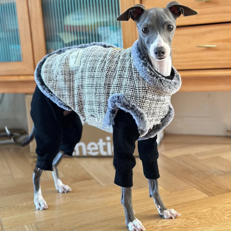 Čínsky Nový rok festivel teplou zamatovou vestou pre malé pudle Greyhound Huibit v jesennej zime hrubá čalúnená bunda pre stredných psov