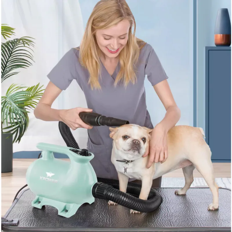 Ľahké psie vlasové sušič, Stepless Speed ​​Control, 2 -rýchlostné zahrievanie, sušič vlasov, nízky hluk, úspora energie, starostlivosť o psy