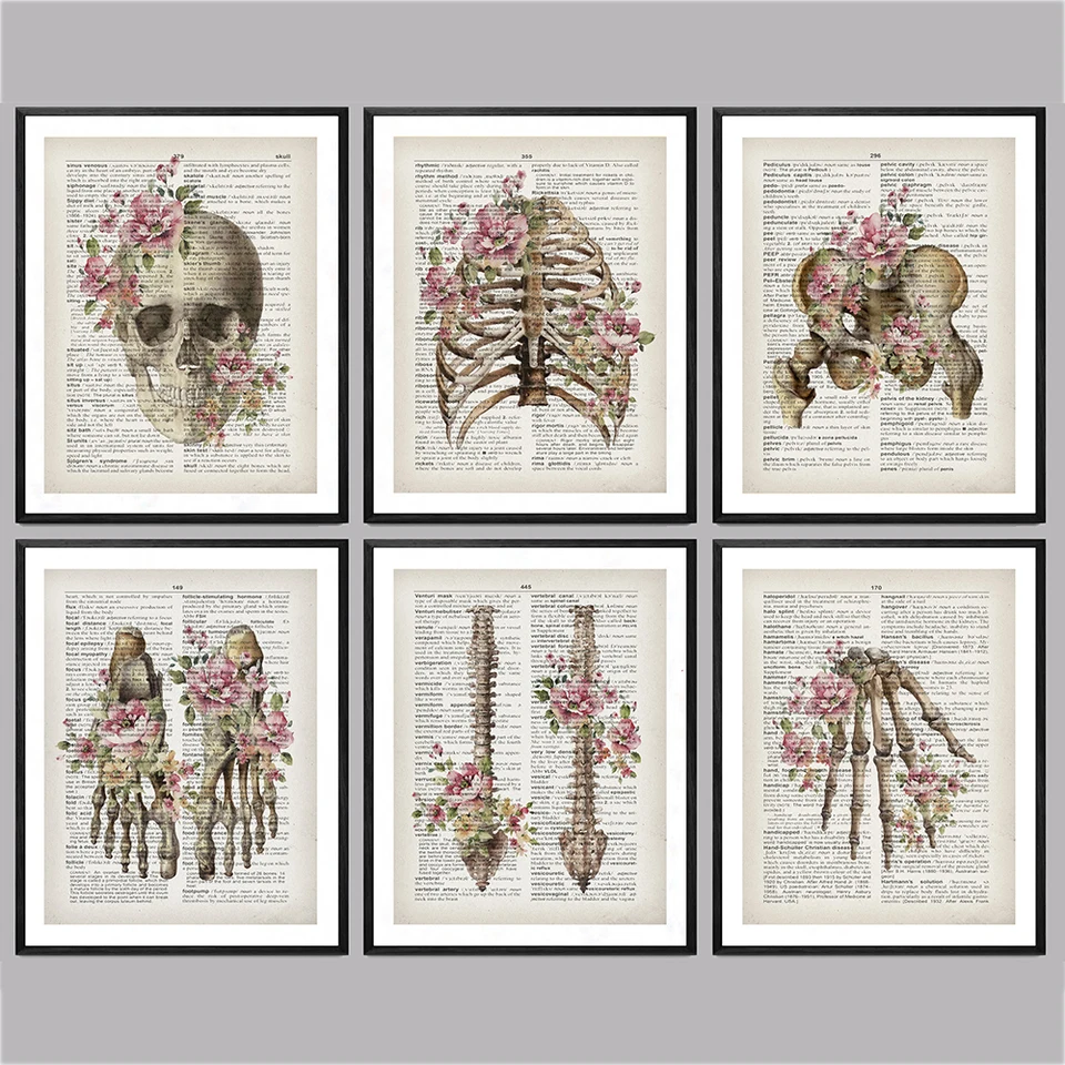 Ľudská anatómia umelecké dielo Medical Wall Picture svalová kostra vintage plagát Nordic Canvas výtlačky vzdelávacie maľba moderný dekor