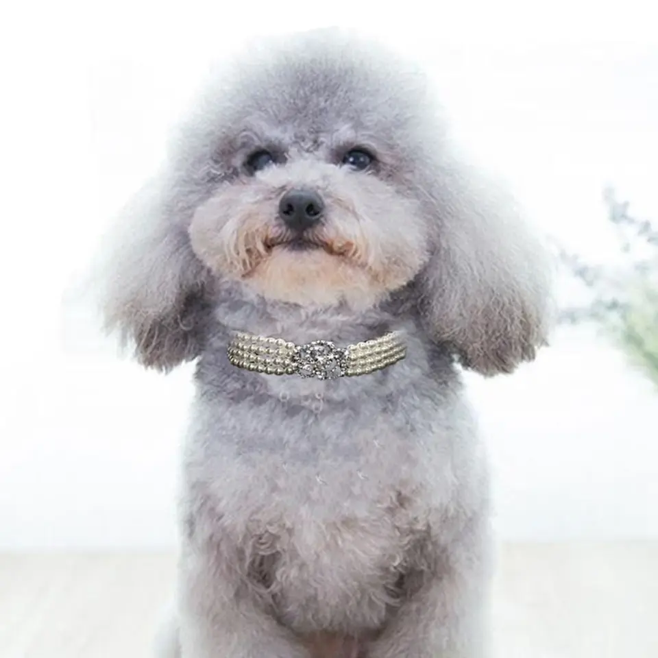Špičkové perly psie mačka Choker Exquisite Leskiny Smrinestone Rose Rose Puppy Náhrdelník Šperky doplnky pre mačku a psie obojok