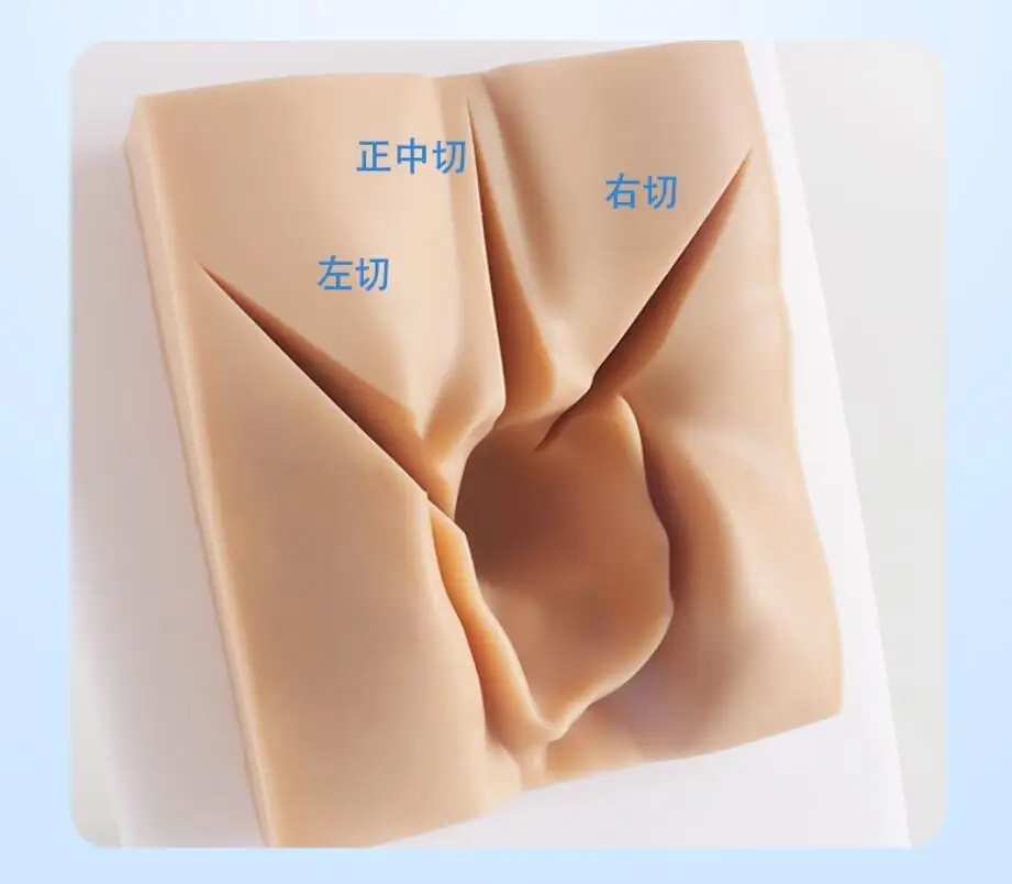 Ženský vulvárny stehový model modelu Perineum Suture Practice Modul Pôrodnícky a gynekológia