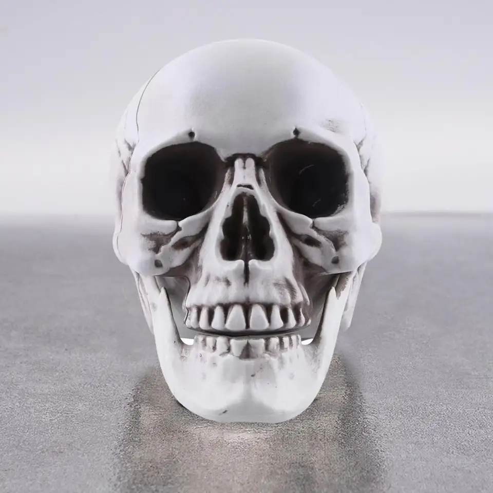 Životná veľkosť ľudskej lebky model Halloween dekor kostra lebka realistická ľudská dospelá lebka hlava kosť model cintorín vonkajší dekor